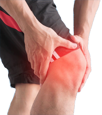 Fiona Medical Knee Pain